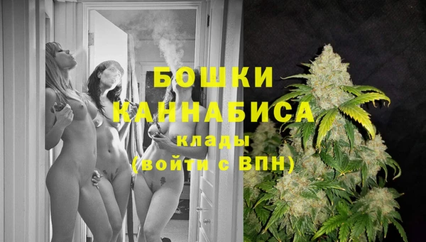 МДПВ Слюдянка