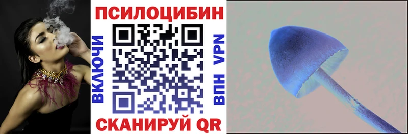 Псилоцибиновые грибы Magic Shrooms  Лениногорск 